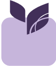 Audit Support